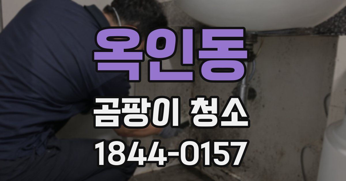 옥인동 곰팡이 청소