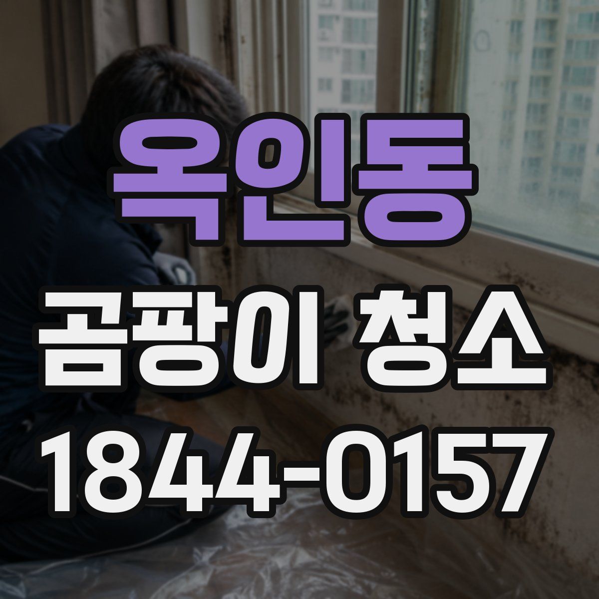 옥인동 곰팡이 청소
