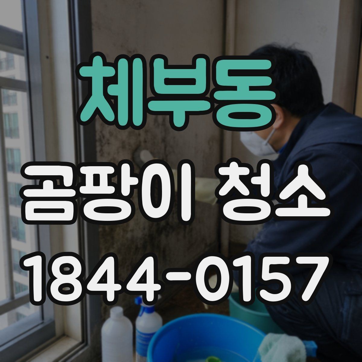 체부동 곰팡이 청소 대상이 되는 주요 공간