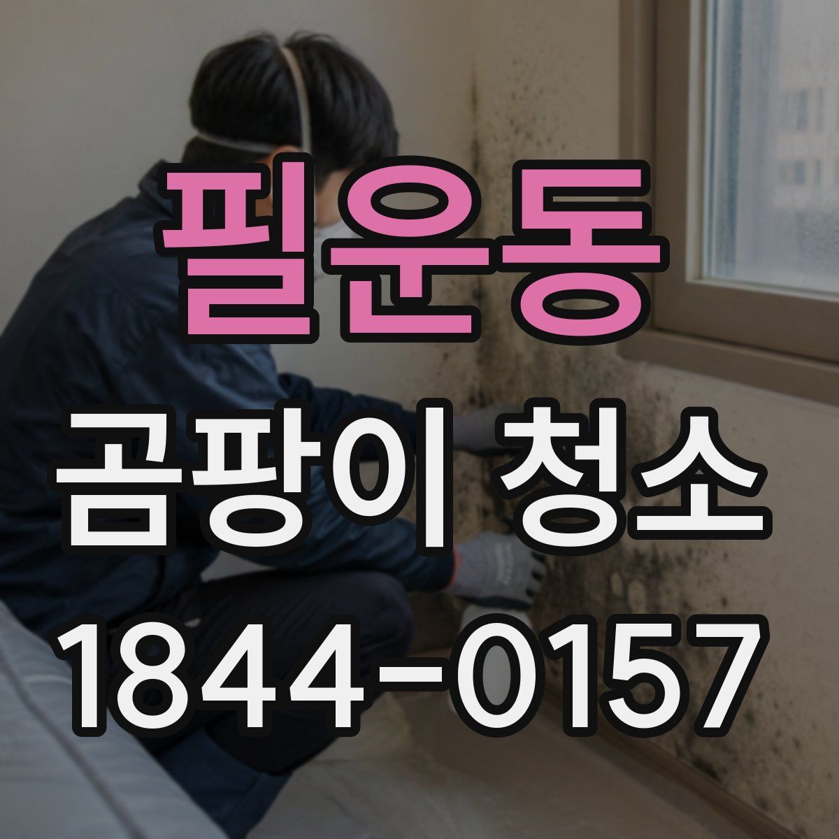 필운동 곰팡이 청소