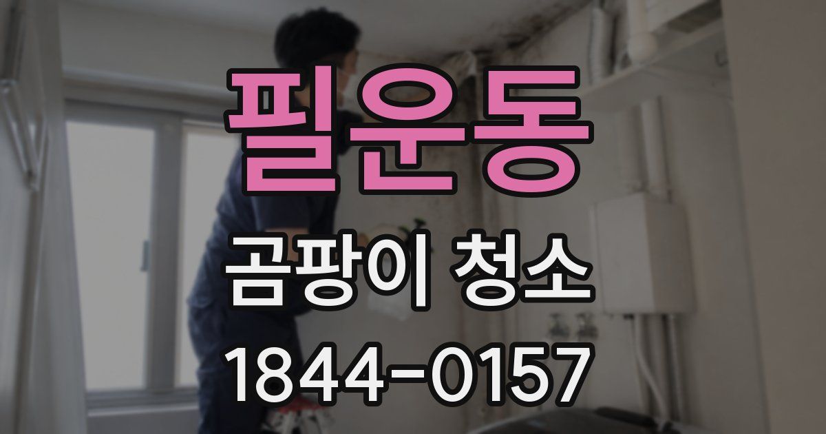 필운동 곰팡이 청소