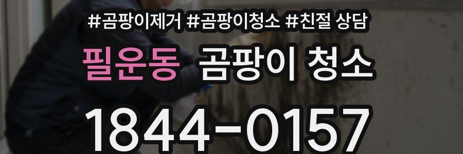 필운동 곰팡이 청소
