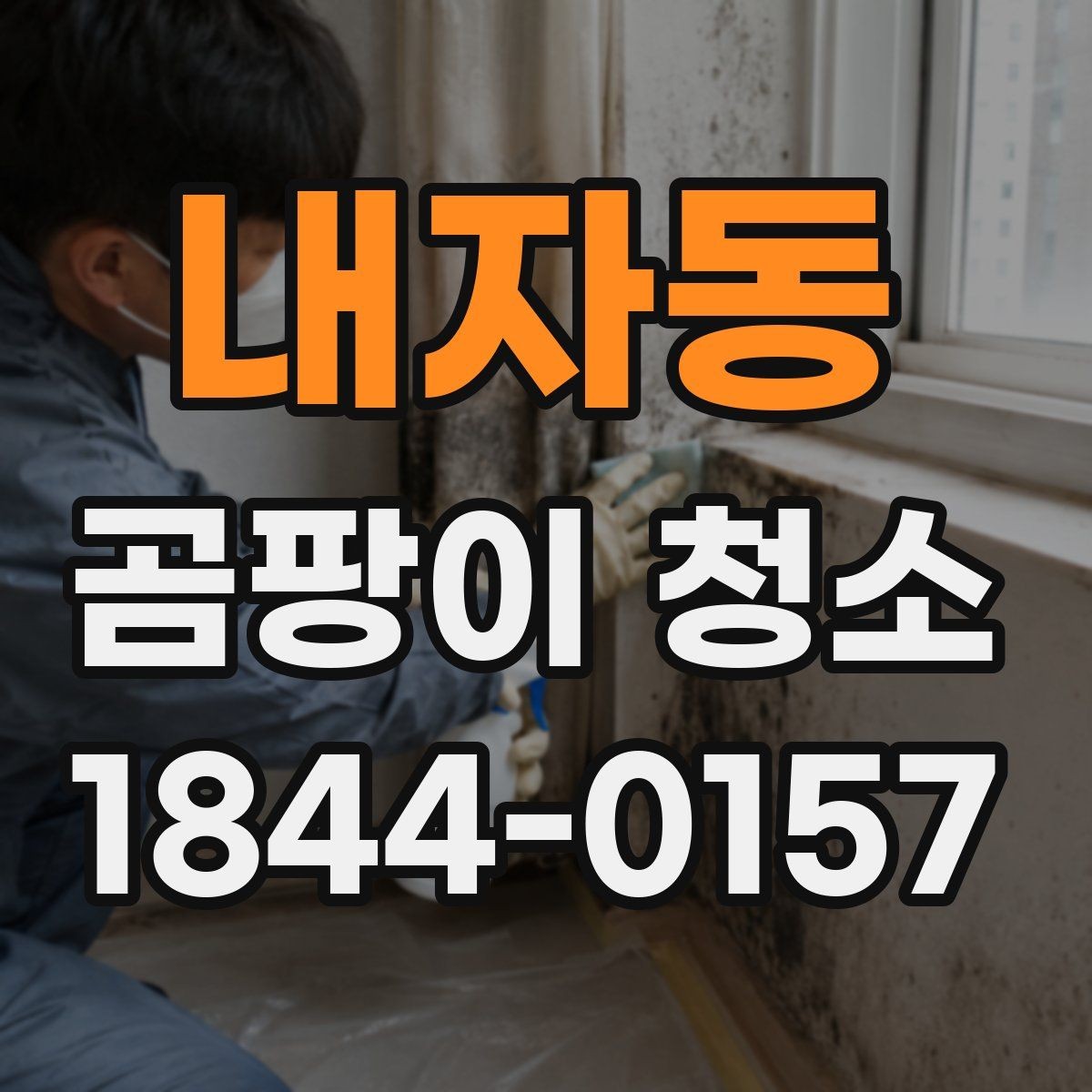 내자동 곰팡이 청소 업체 후기 볼 때 체크할 포인트