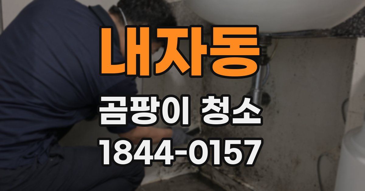 내자동 곰팡이 청소