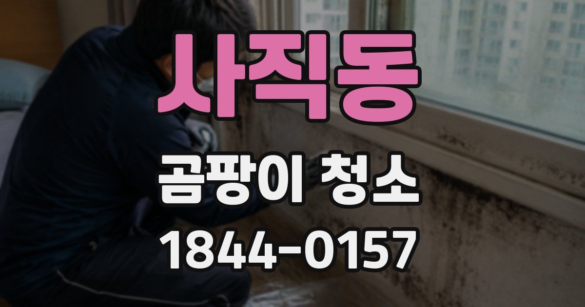 사직동 곰팡이 청소