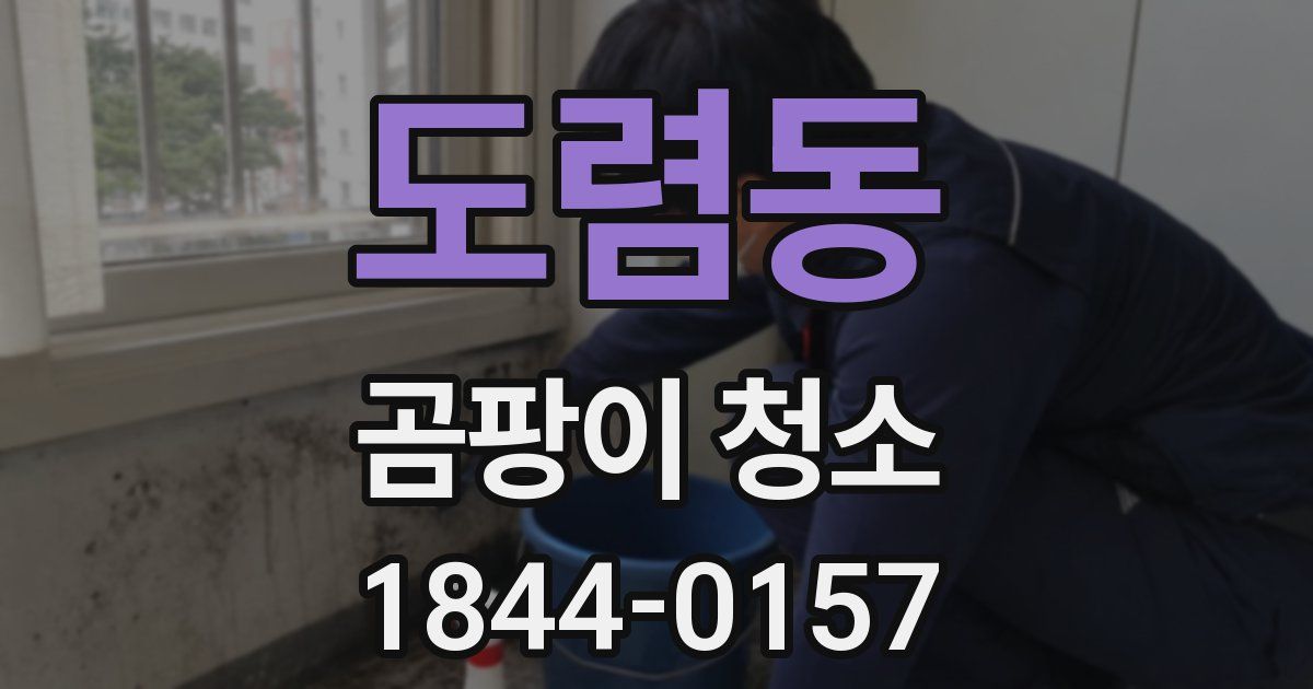 도렴동 곰팡이 청소