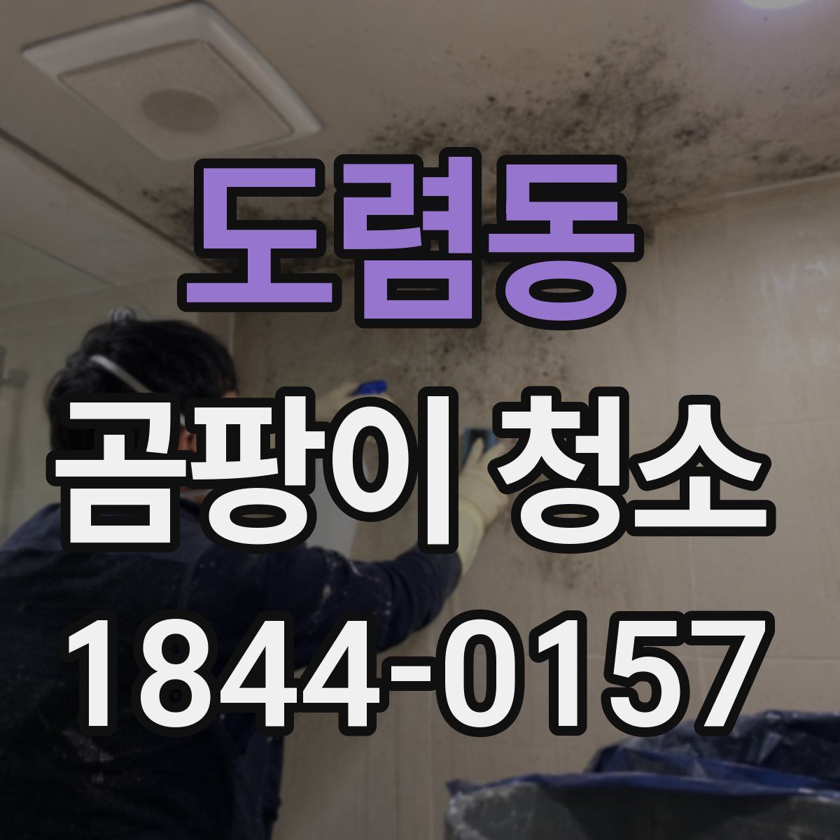도렴동 곰팡이 청소