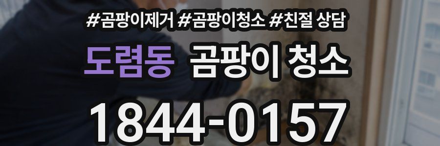 도렴동 곰팡이 청소