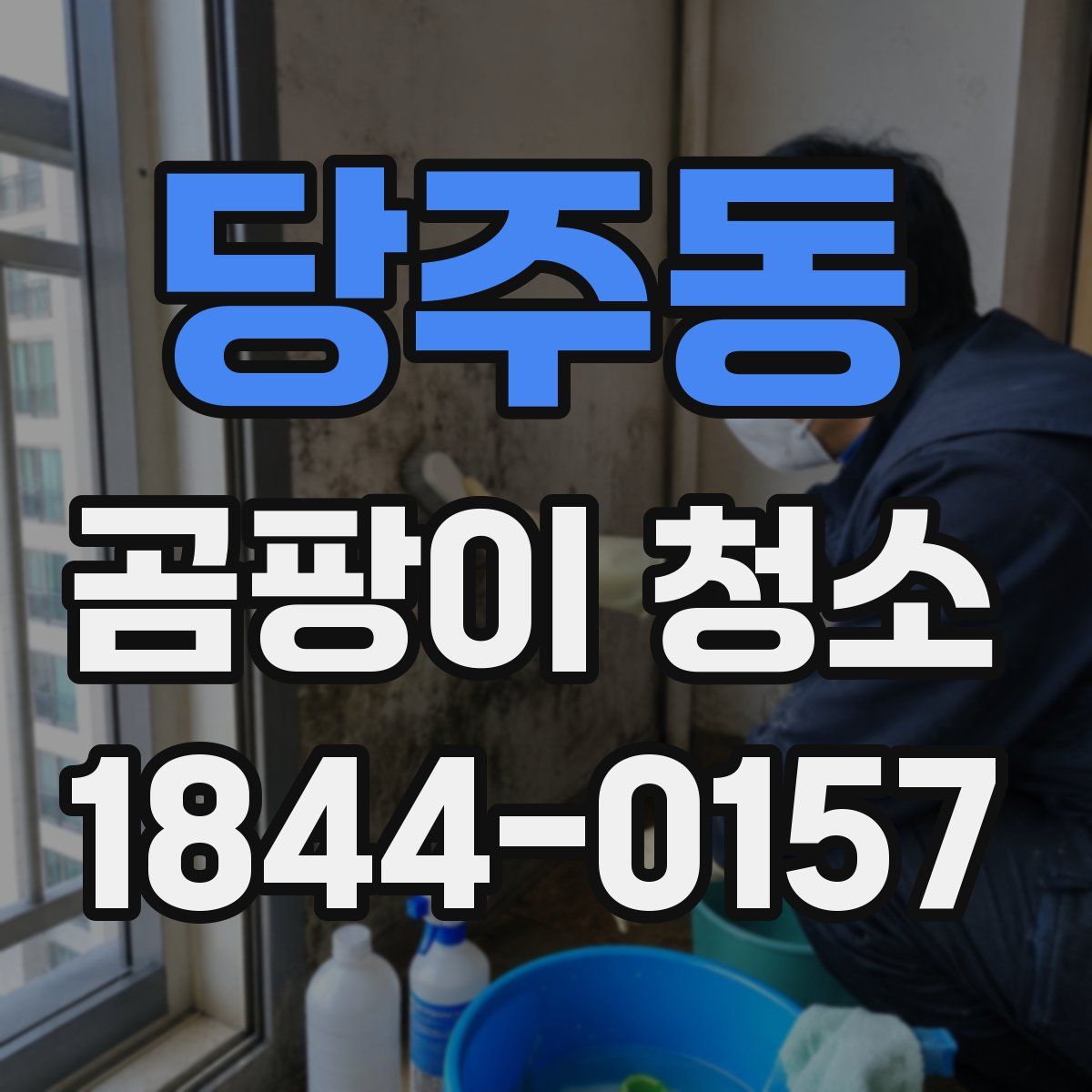당주동 곰팡이 청소