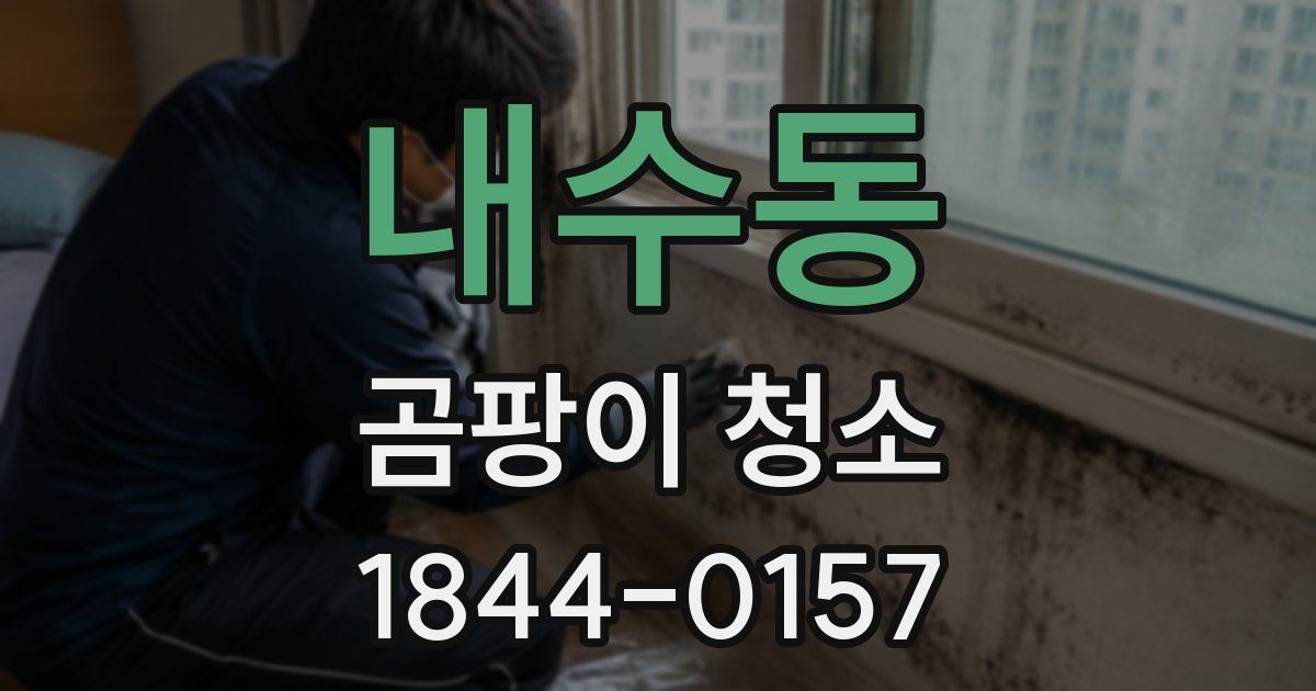 내수동 곰팡이 청소