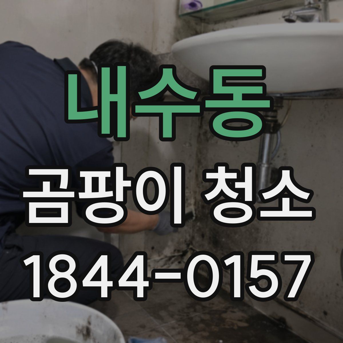 내수동 곰팡이 청소