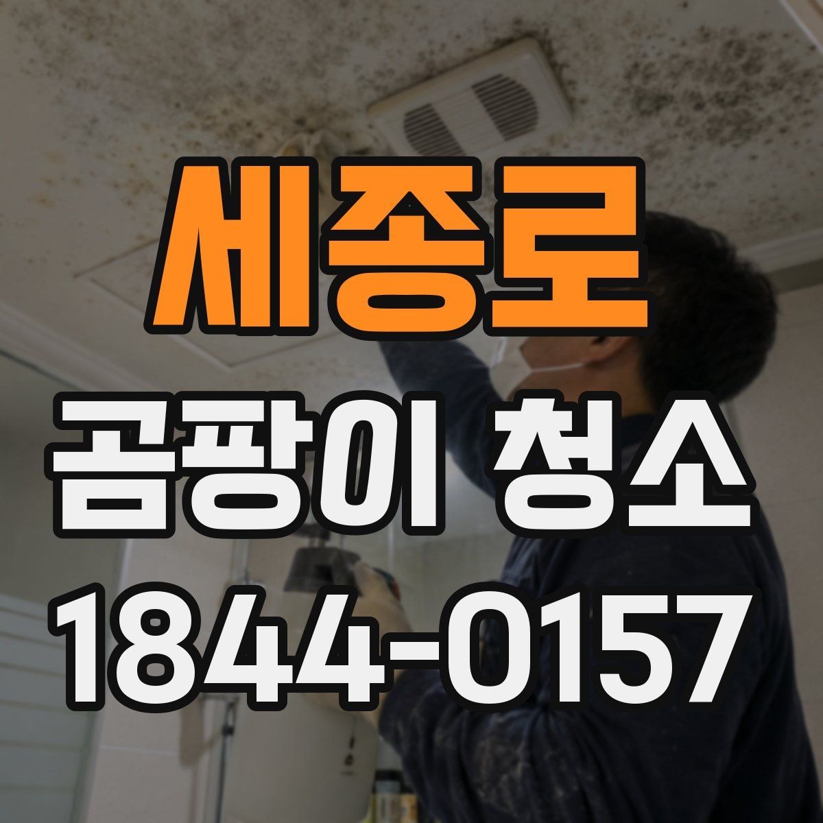 세종로 곰팡이 청소 비용을 줄이는 현실적인 방법