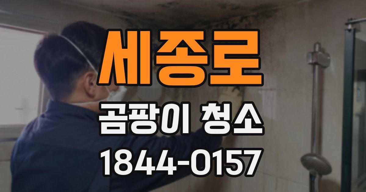세종로 곰팡이 청소