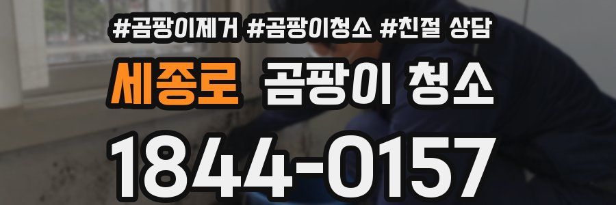 세종로 곰팡이 청소