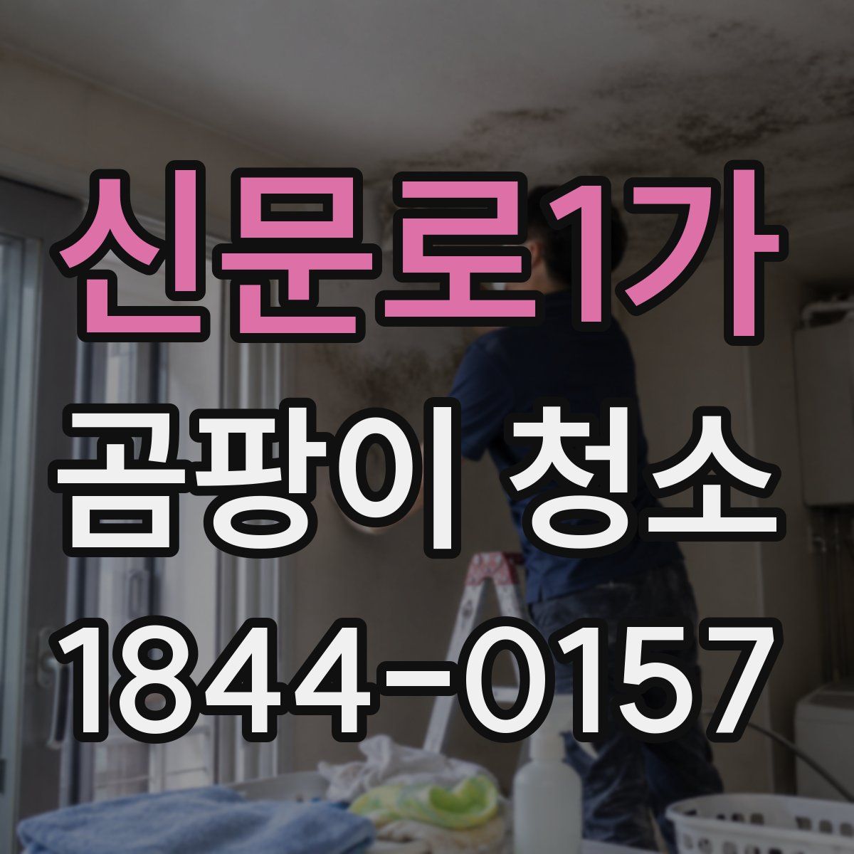 신문로1가 곰팡이 청소
