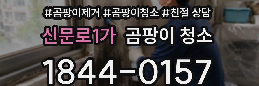 신문로1가 곰팡이 청소
