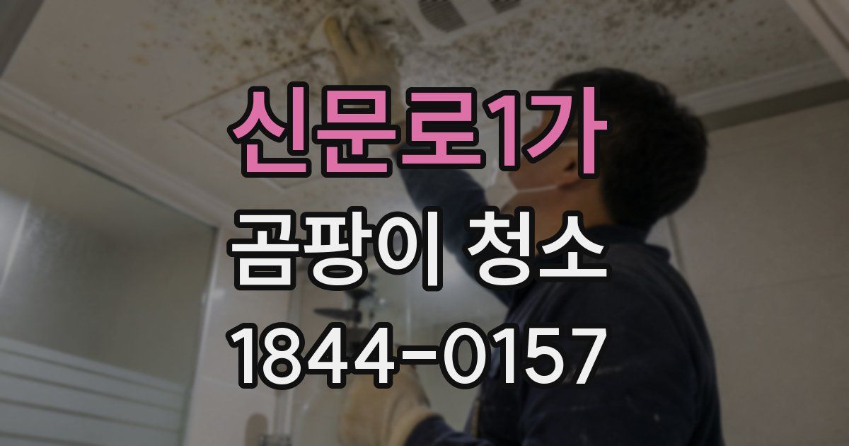 신문로1가 곰팡이 청소
