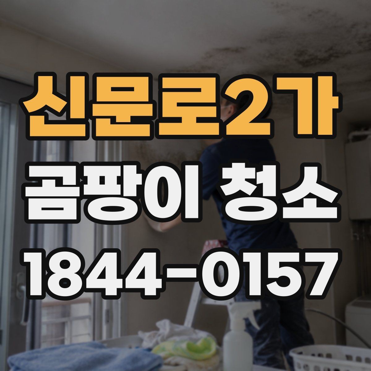 신문로2가 곰팡이 청소 작업 시 환기와 보호가 중요한 이유