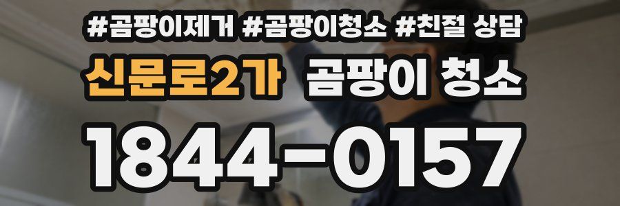 신문로2가 곰팡이 청소