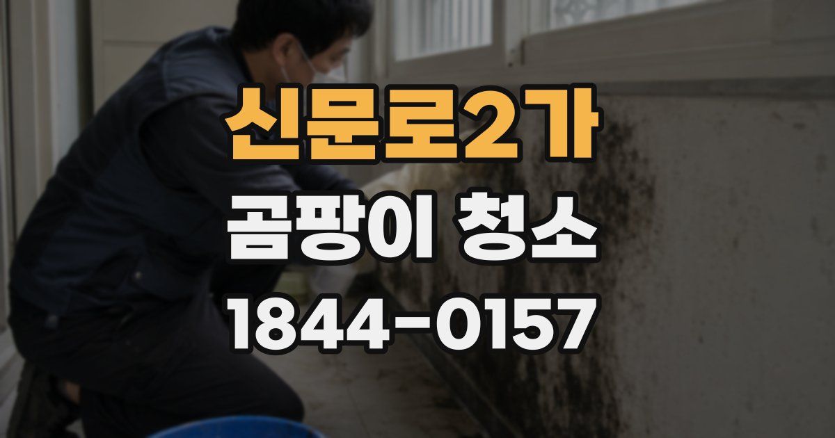 신문로2가 곰팡이 청소