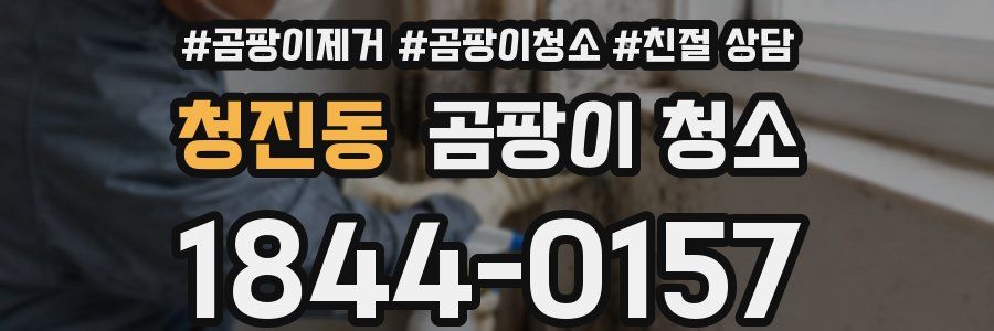 청진동 곰팡이 청소