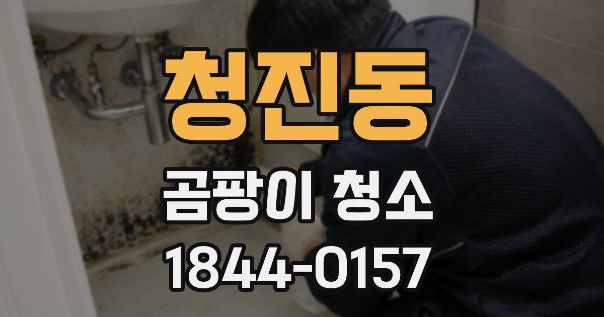 청진동 곰팡이 청소