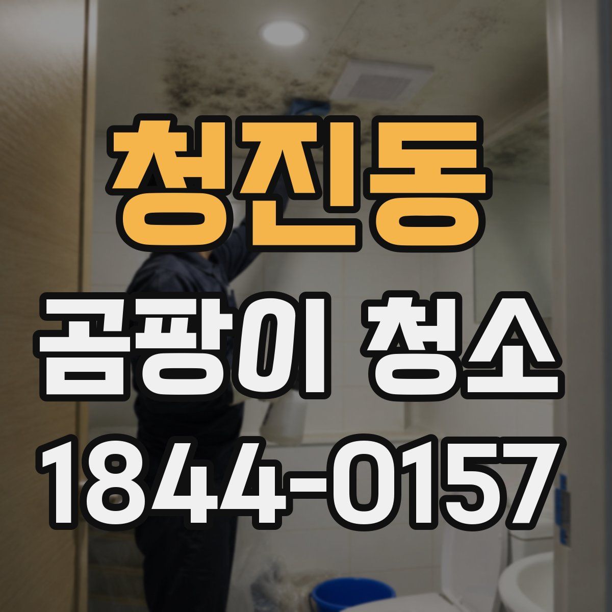 청진동 곰팡이 청소