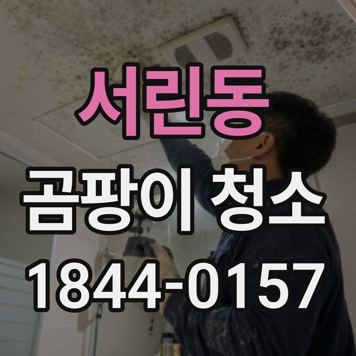서린동 곰팡이 청소 업체 선택할 때 보는 항목