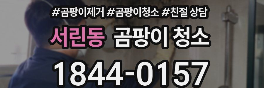 서린동 곰팡이 청소