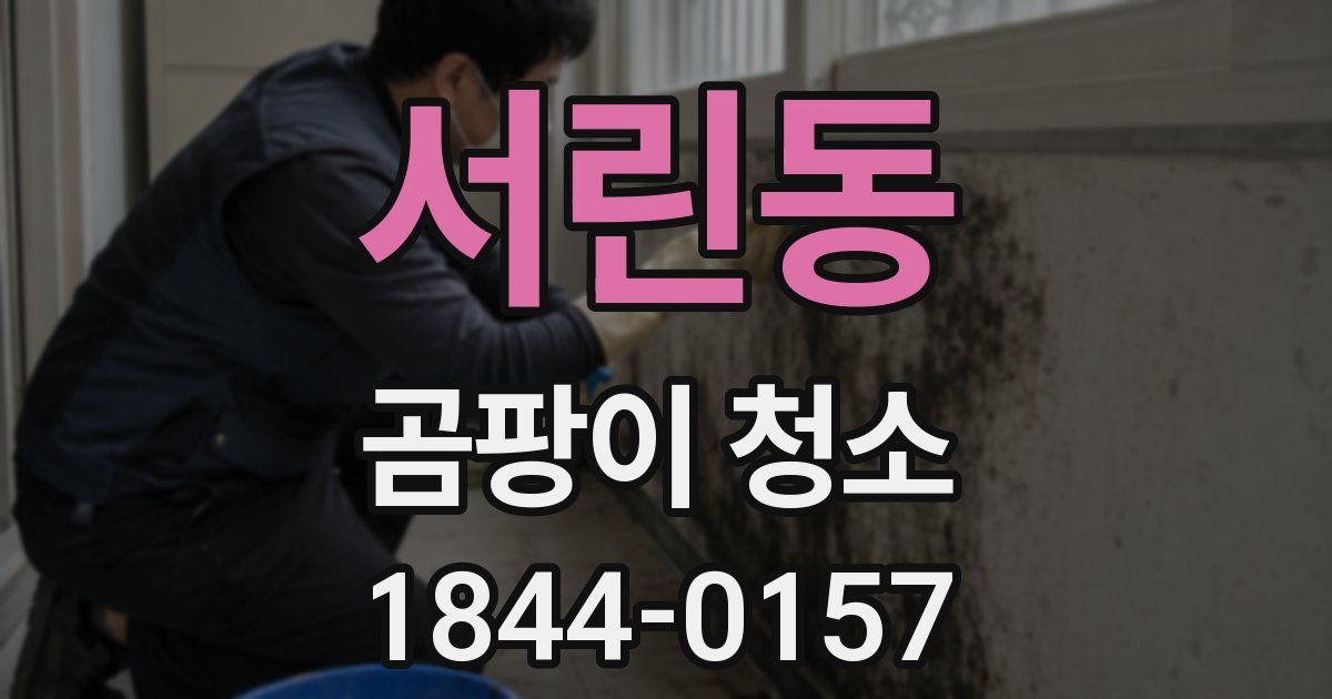 서린동 곰팡이 청소