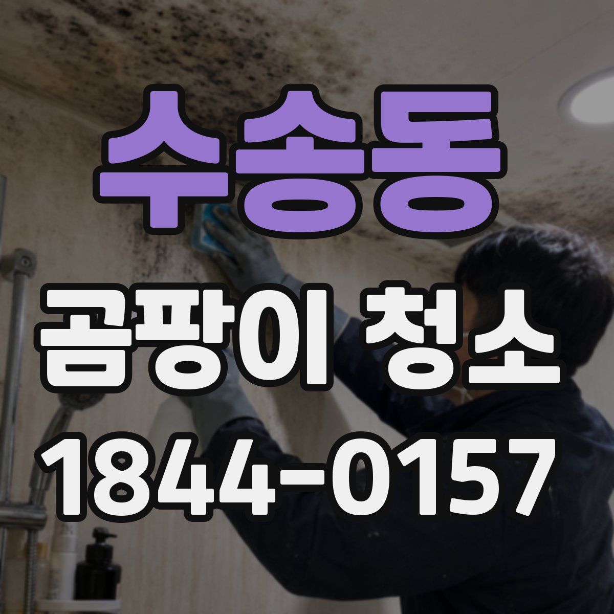 수송동 곰팡이 청소