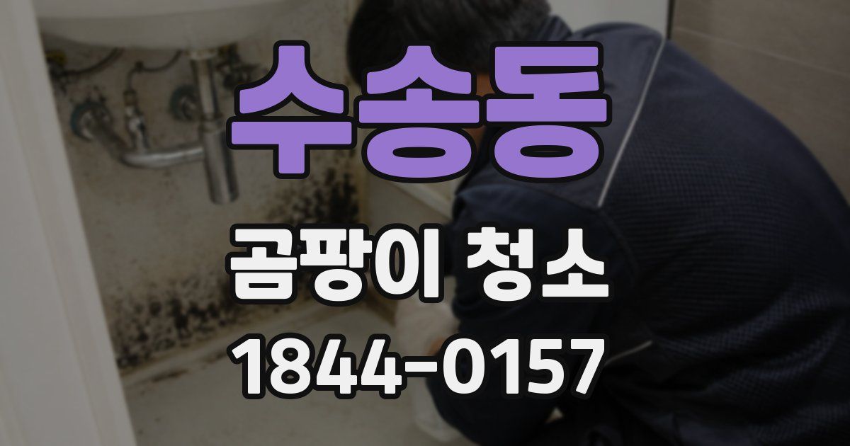 수송동 곰팡이 청소
