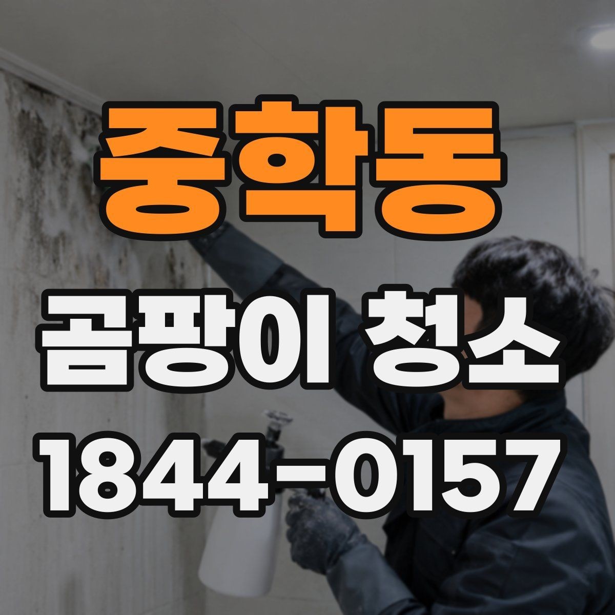 중학동 곰팡이 청소 후 재오염을 줄이는 실내 관리
