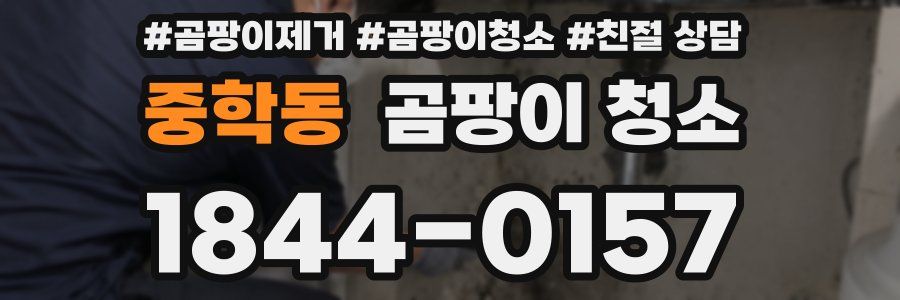 중학동 곰팡이 청소