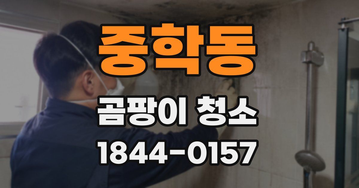 중학동 곰팡이 청소