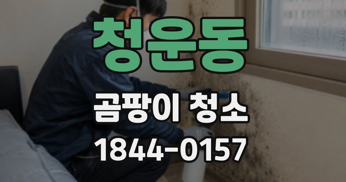 청운동 곰팡이 청소
