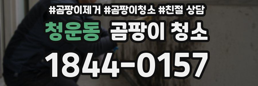 청운동 곰팡이 청소