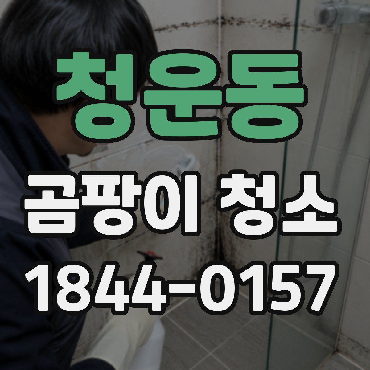 청운동 곰팡이 청소