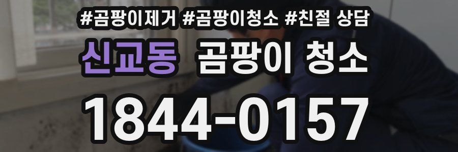 신교동 곰팡이 청소