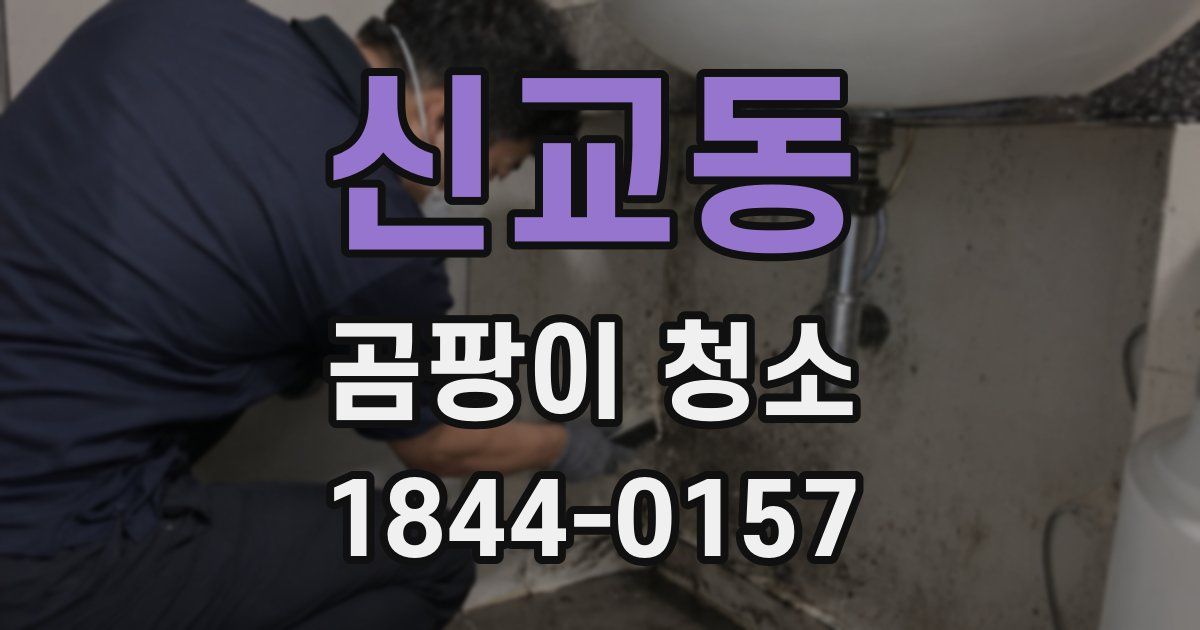 신교동 곰팡이 청소