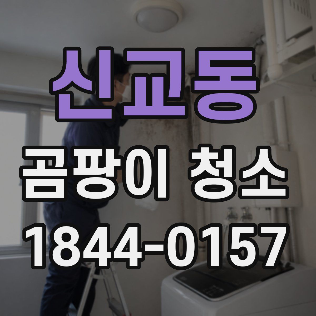 신교동 곰팡이 청소