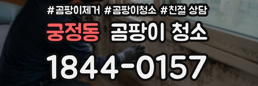궁정동 곰팡이 청소
