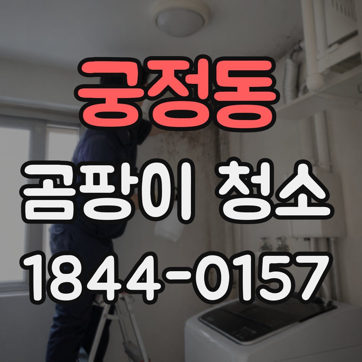 궁정동 곰팡이 청소