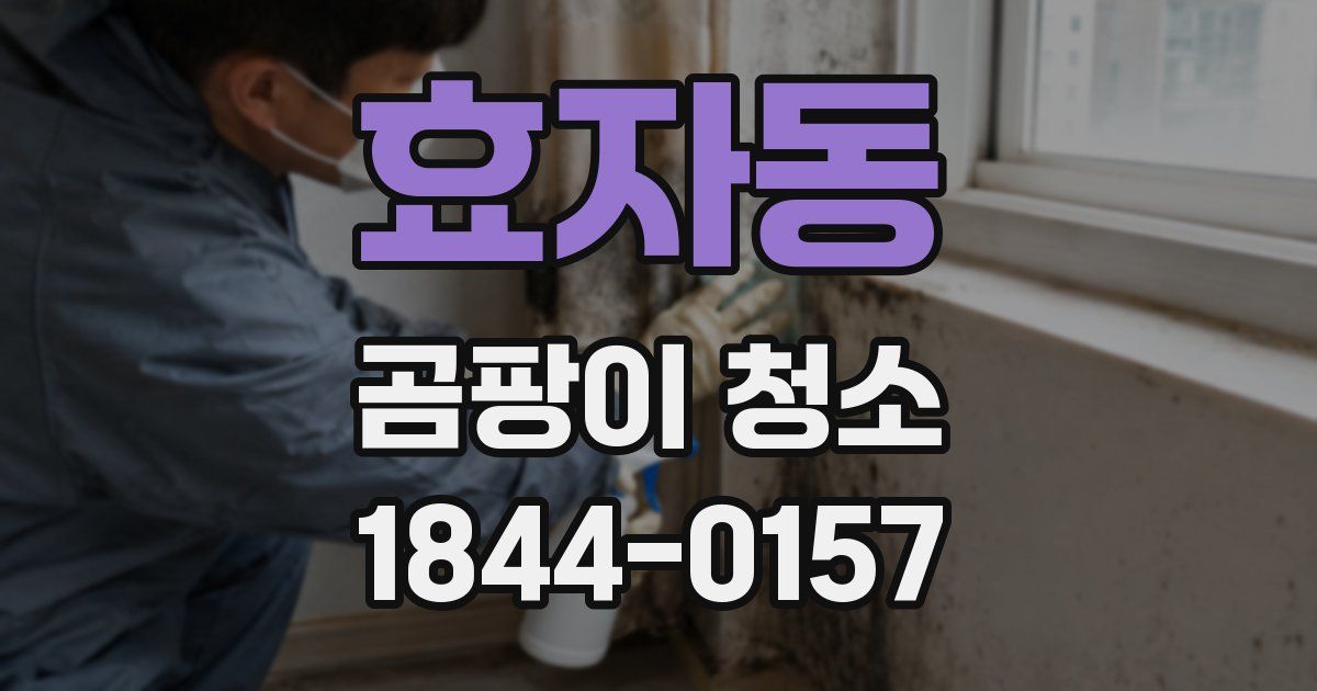 효자동 곰팡이 청소