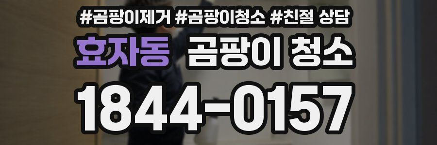 효자동 곰팡이 청소