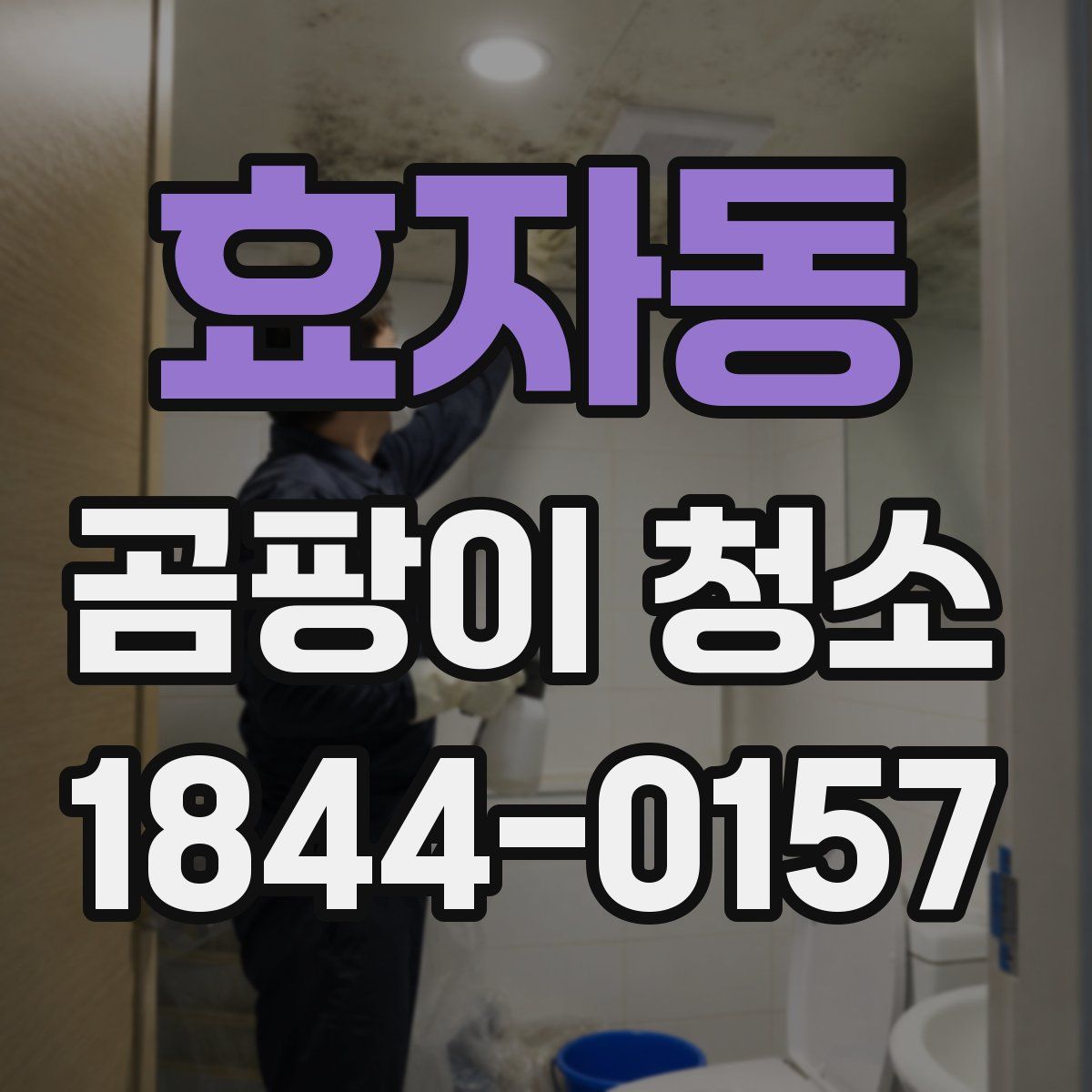 효자동 곰팡이 청소