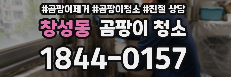 창성동 곰팡이 청소