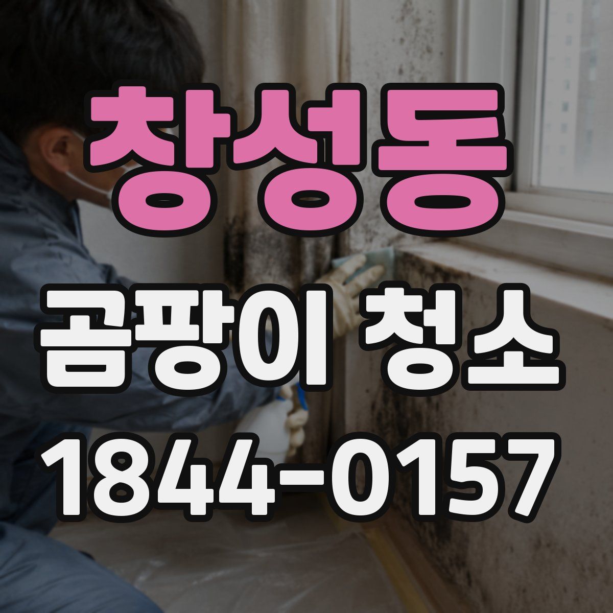 창성동 곰팡이 청소