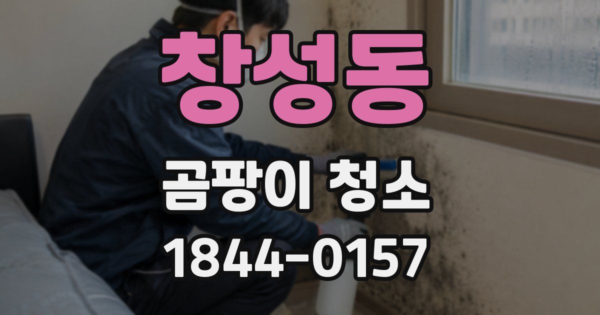 창성동 곰팡이 청소