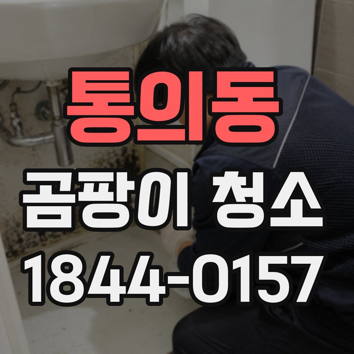 통의동 곰팡이 청소